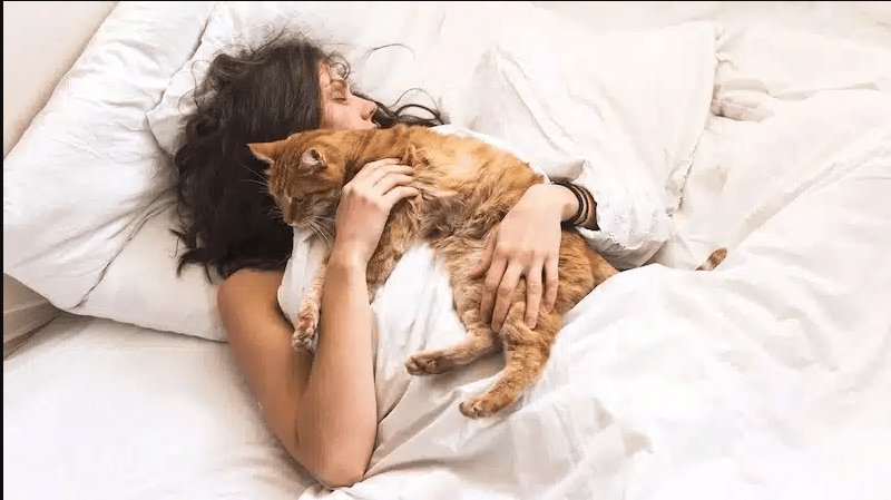 Dormir avec le chat : Quels sont les risques ?