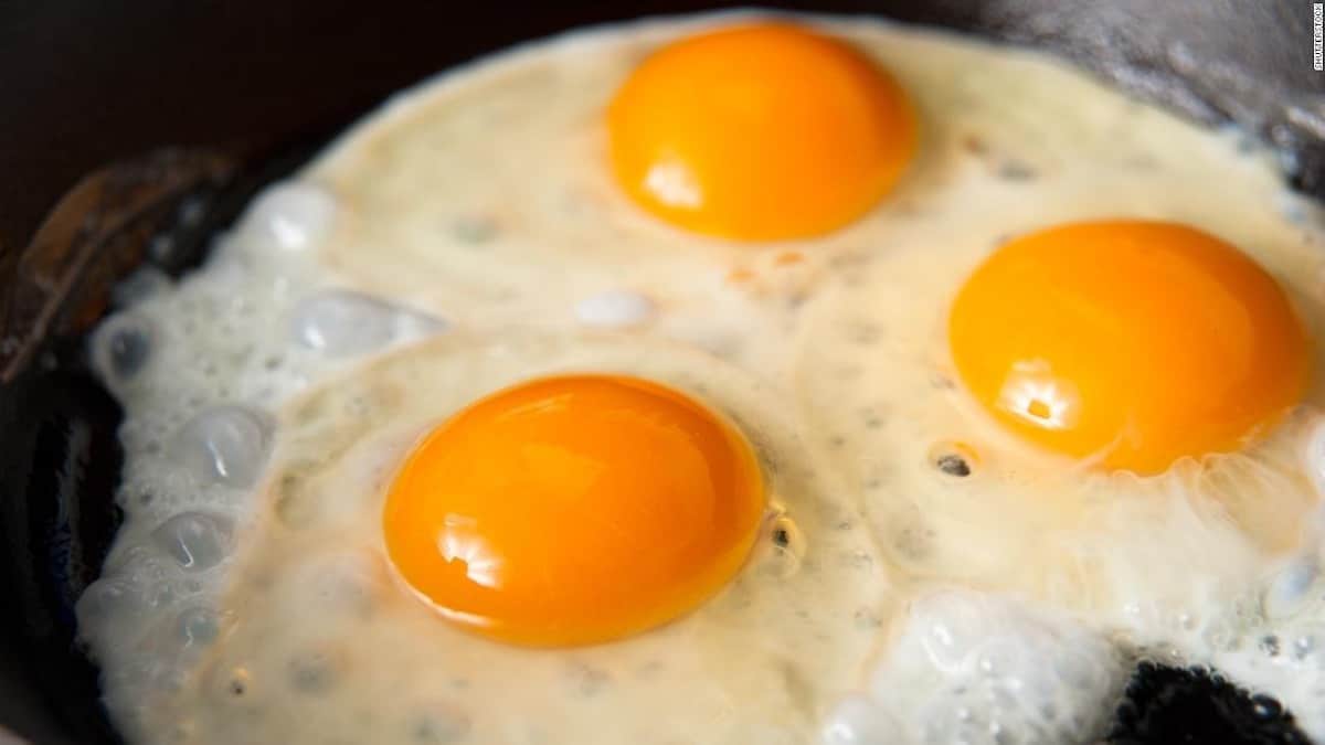 Est-il bon ou mauvais de manger des œufs tous les jours ? La réponse pourrait être une surprise